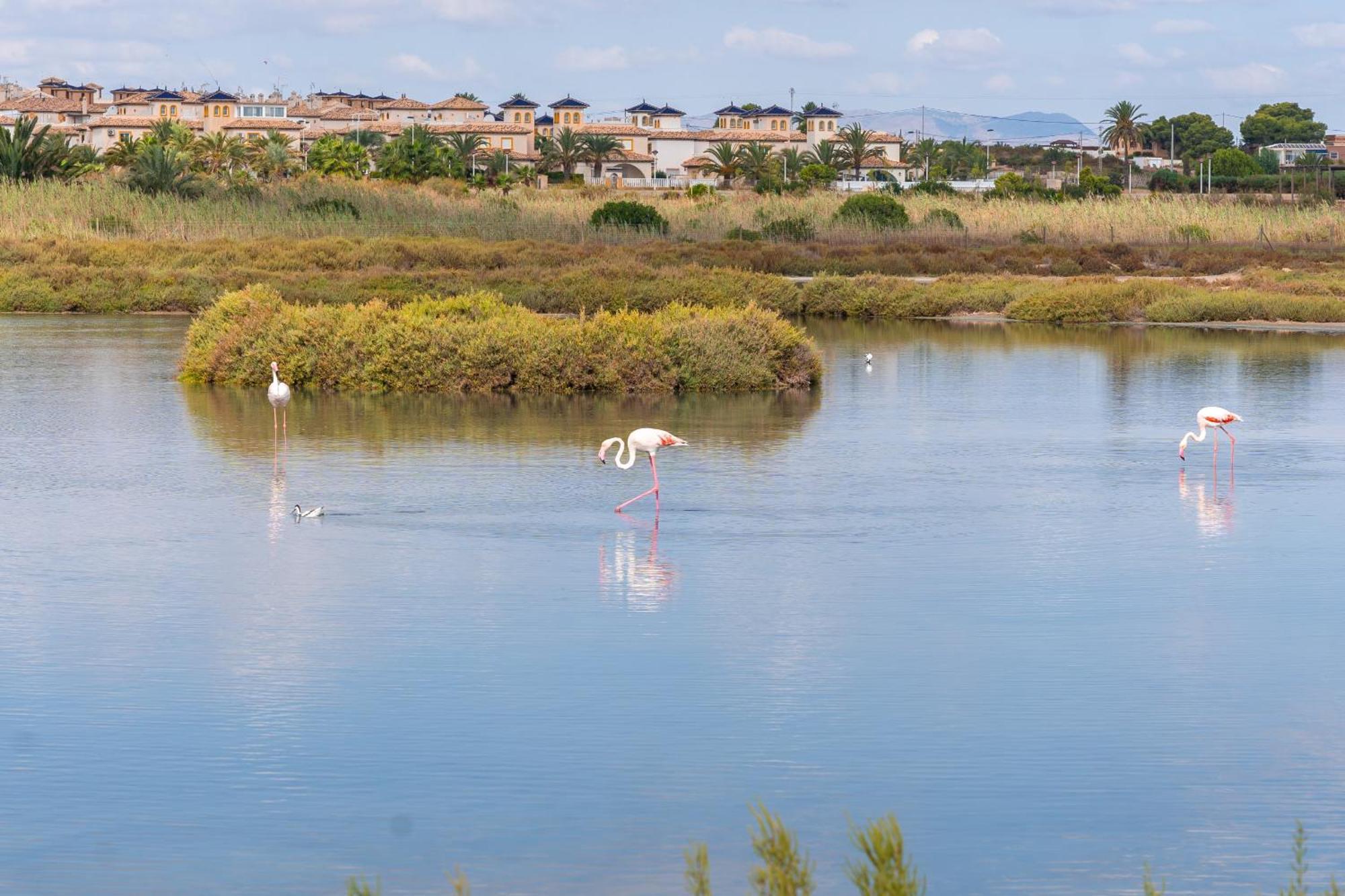 Menabrea Holiday House Near The Beach And Airport Santa Pola Εξωτερικό φωτογραφία